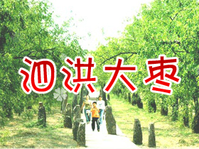 江蘇棗香苑生態農業有限公司