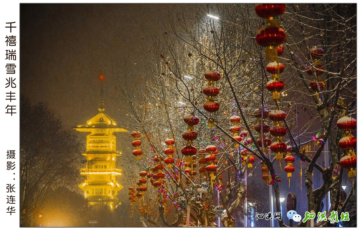 2018年的泗洪雪景圖片